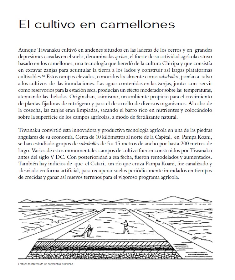 El Cultivo en Camellones