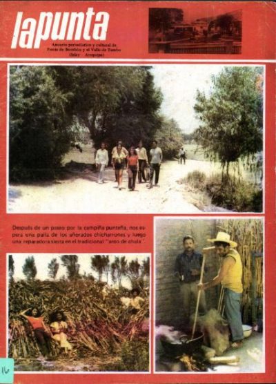 Anuario Periodistico y cultural de Punta de Bombon y el valle de Tambo Islay - Arequipa 16